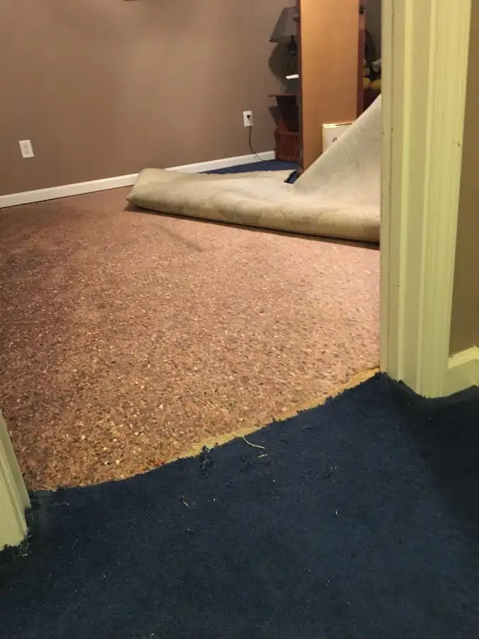 Carpet pad removal revealing water damage during Drying & Dehumidification in Nazareth